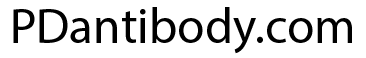 Parkinsons Antibody